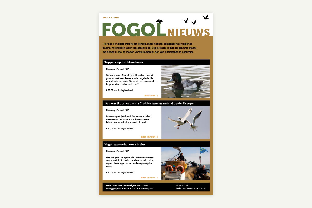 website Fogol