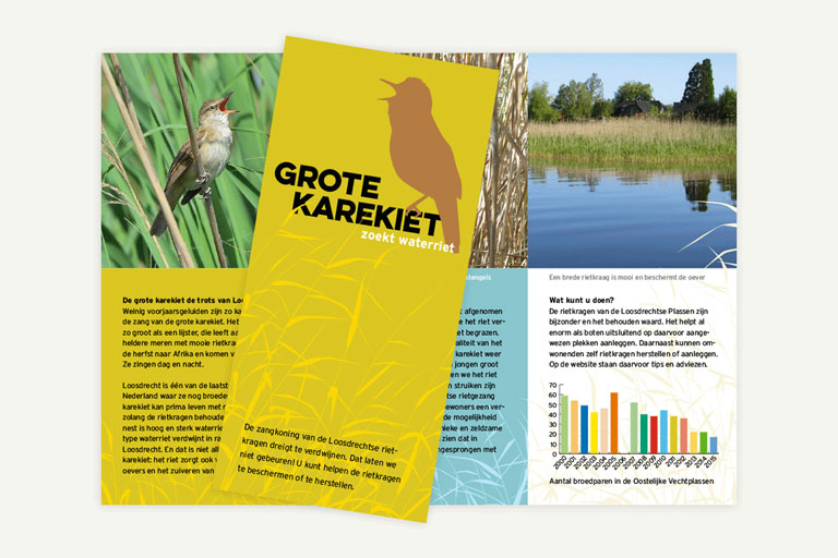 Project artwork grote karekiet zoekt riet