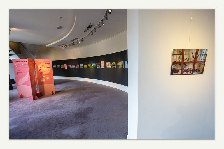 expositie & boek over leven & uitsterven