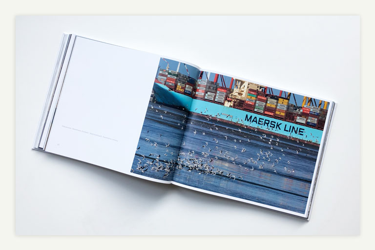 fotoboek turn the tide, birds around the north sea