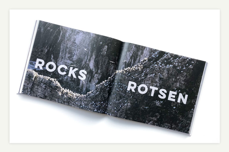 fotoboek turn the tide, birds around the north sea